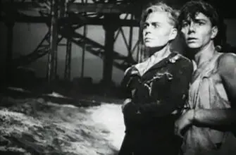 странные зигзаги судьбы олега кошевого задание на жизнь