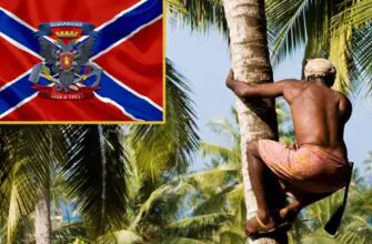 абориген на пальме и флаг Новороссии