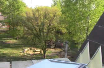 день когда начали монтаж кремлёвской шашки