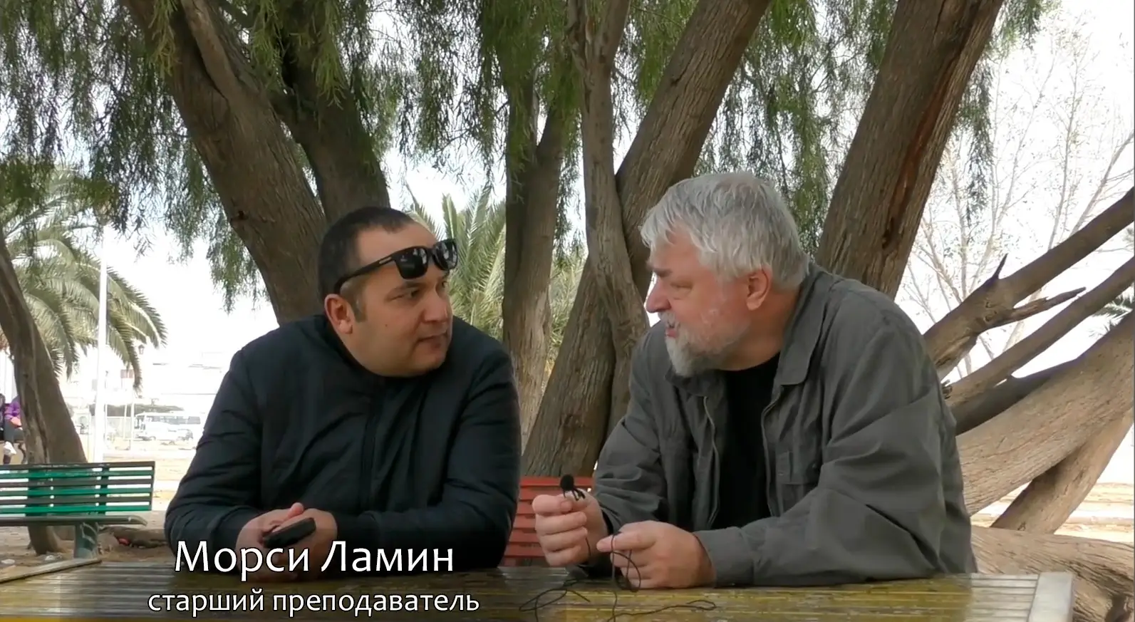 Разговор со старшим преподавателем кафедры восточных языков Университета Карфагена в Тунисе Морси Ламином