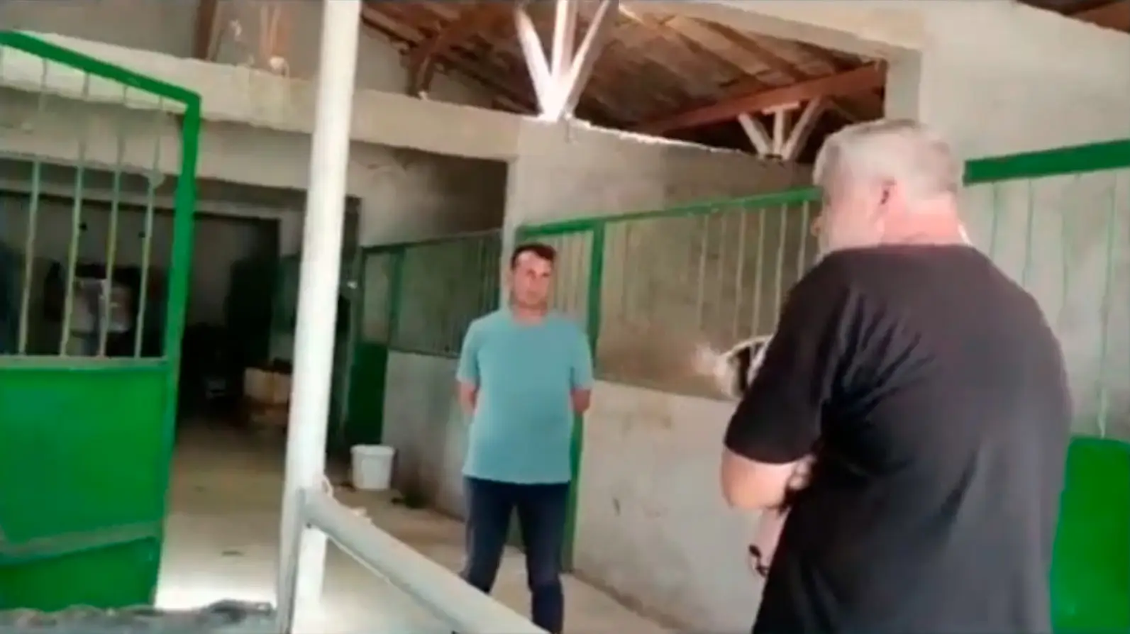 Разговор с тренером коней-чемпионов в Турции (нужны более точные данные, город, имя тренера)