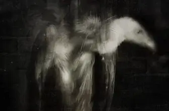 сталин чёрный порядок священные грифы